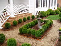 Boxwood_garden_009