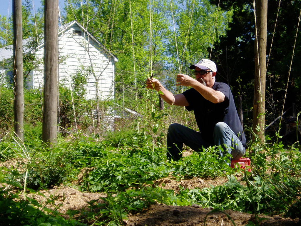 2010_hops_blue_mt._brewery_005